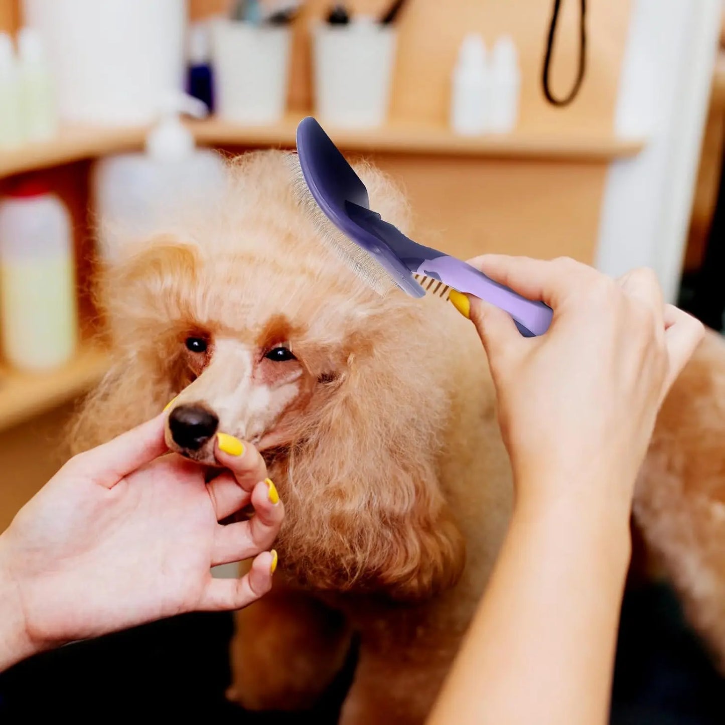 Dematting Brush for Dogs - Professional Grooming Tool for Poodles