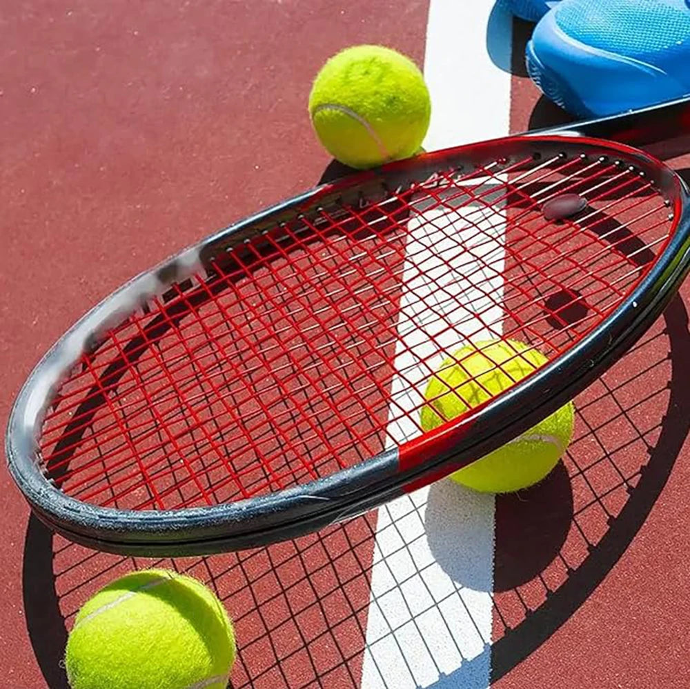 Dog Tennis Balls - 6/12pcs with Mesh Carry Bag