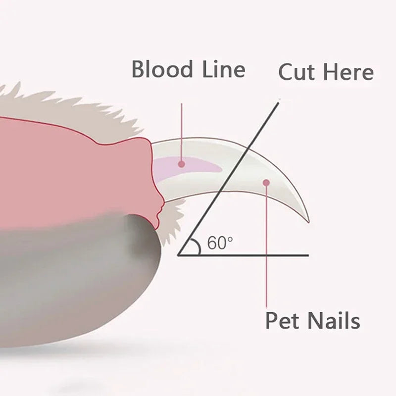 Pet Nail Clippers - LED Light Grooming Scissors