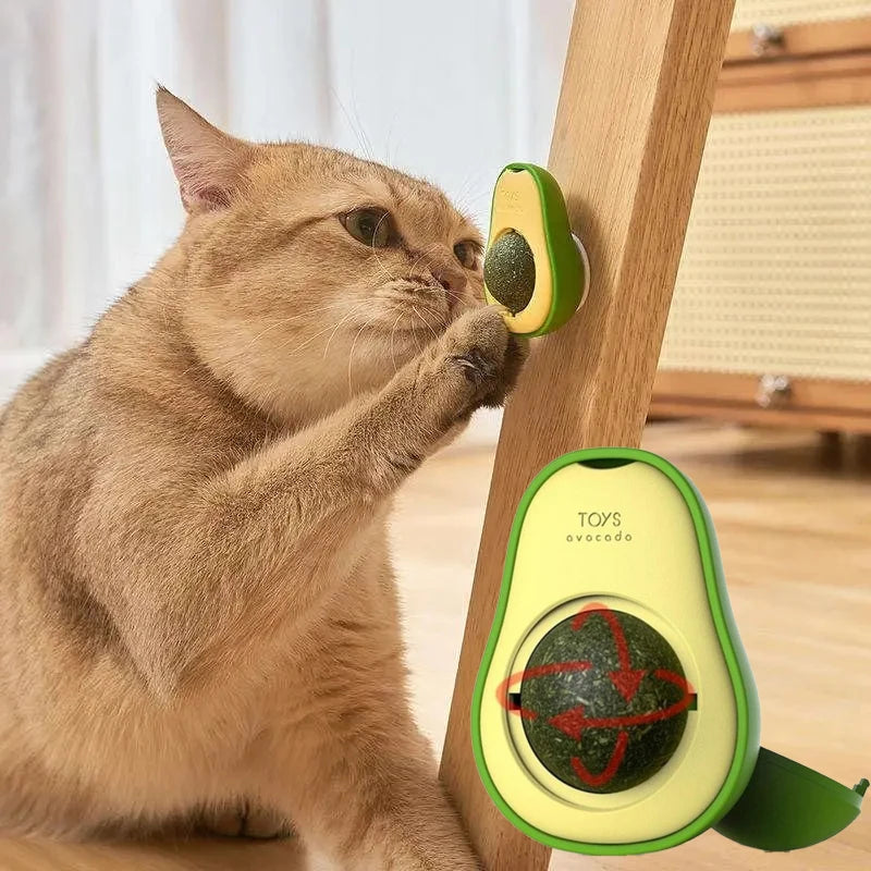 Natural Catnip Healthy Pet Cat Toy