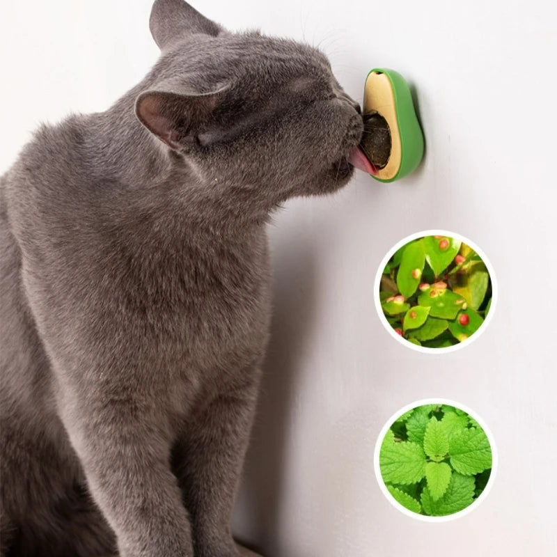 Natural Catnip Healthy Pet Cat Toy