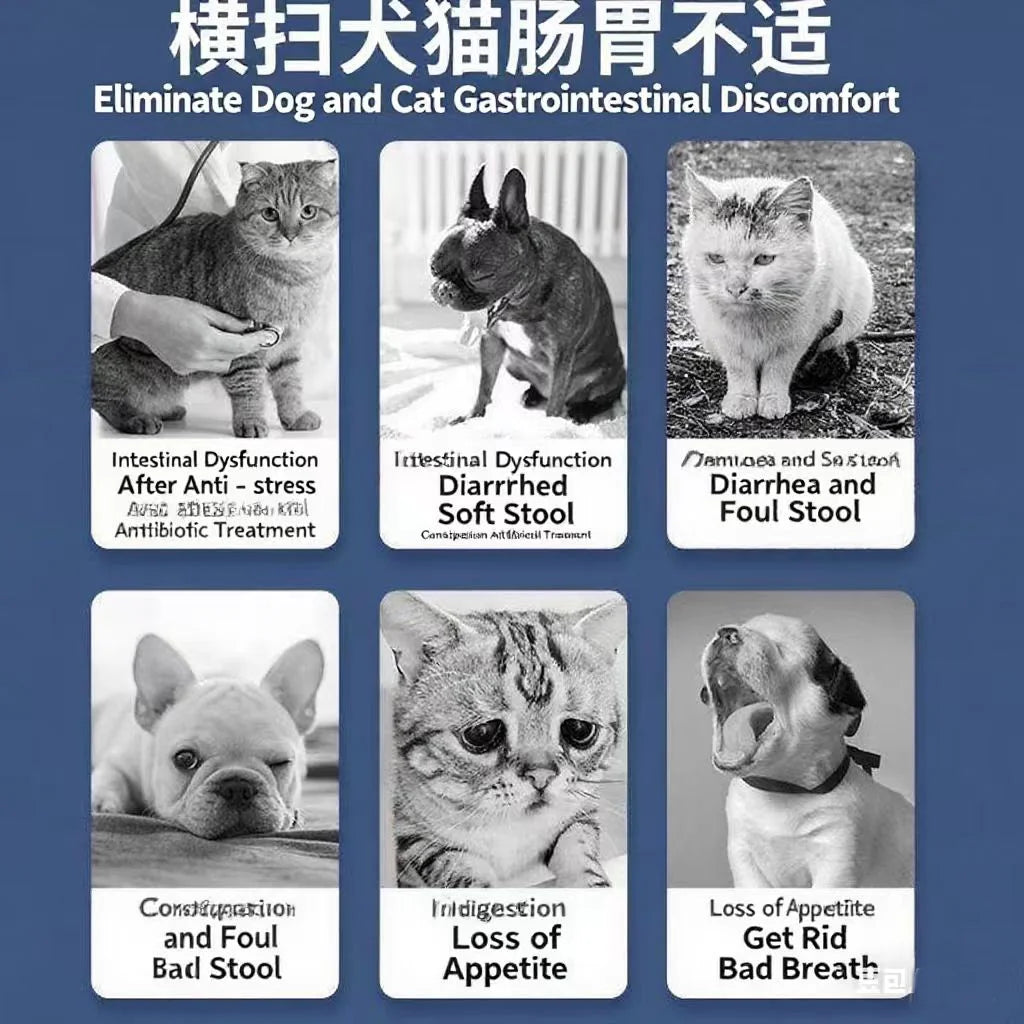 Pet Health Oral Liquid - Cough & Asthma Relief