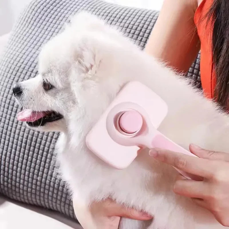 White dog being groomed with dog hair remover brush showing gentle massage action