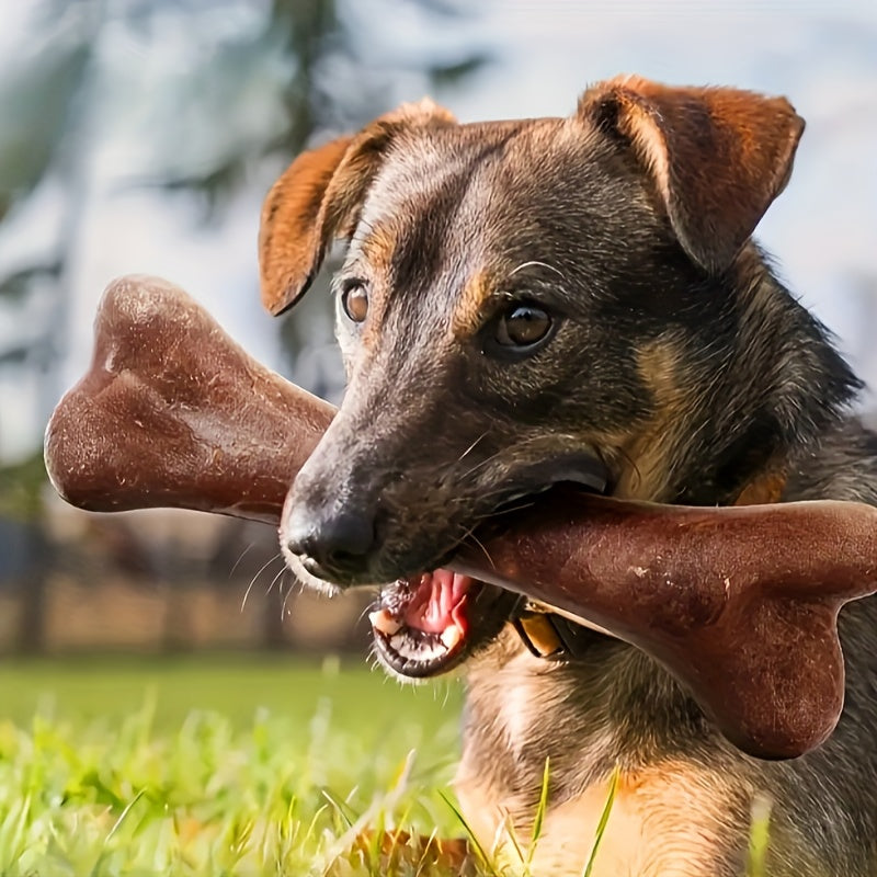 Beef-Flavored Dog Chew Toy - Durable Dental Bone