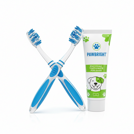 Dog toothbrush and toothpaste set dental care kit for dogs
